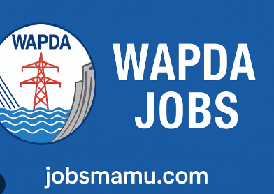 Latest WAPDA Jobs 2025 Advertisement